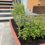 Gli Archi Di Aldalu *